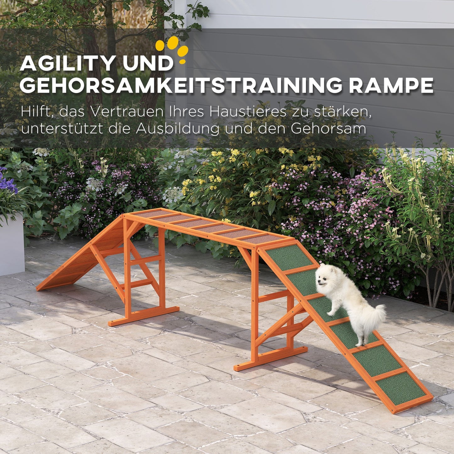 Pawhut Hunde Agility Steg Agility-Ausrüs