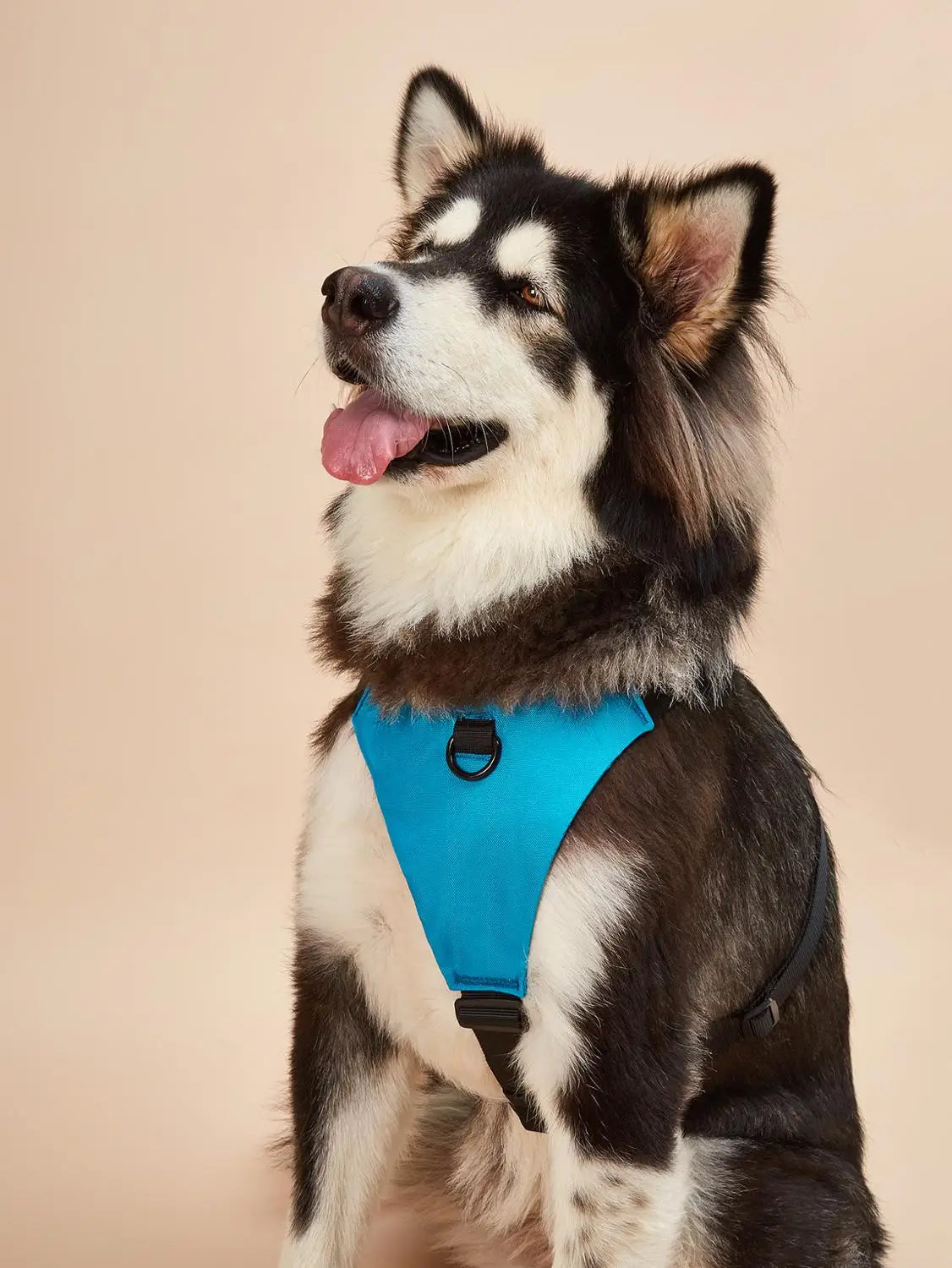 Dog Walker Harness Pet Walking Harness No Pull Comfortable and Breathable Oxford Dogs Collar Ring Easy Control Adjustable Vest
