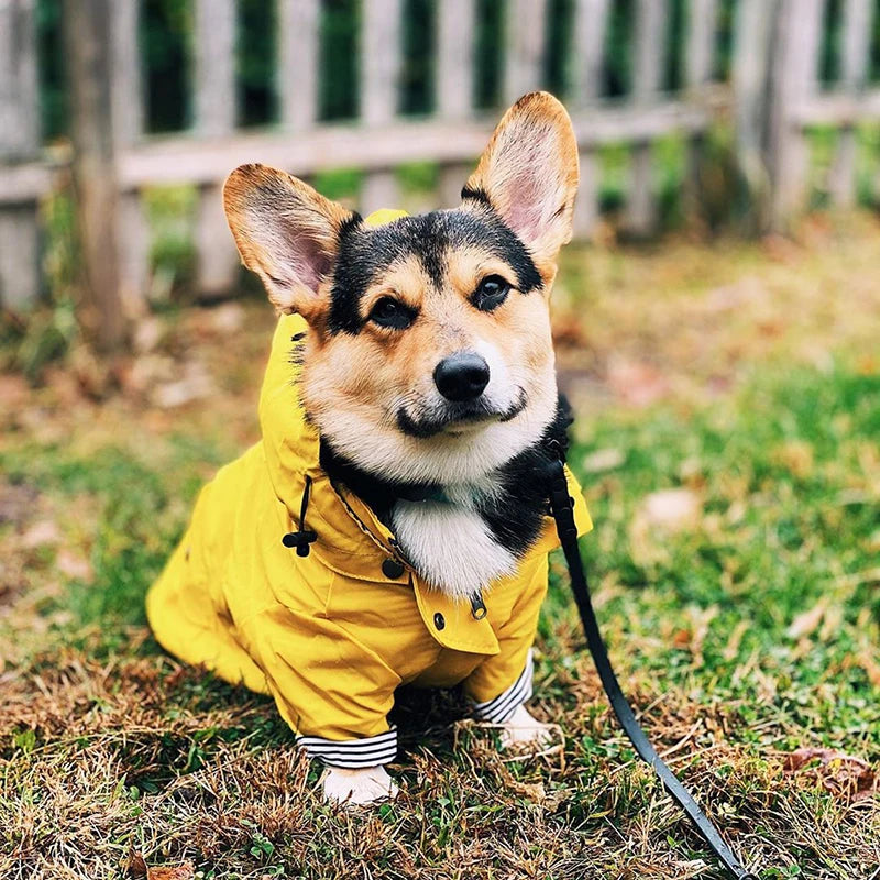 SUPREPET Pet Dog Clothes for Puppy Windproof Dog Jacket Rainproof Dog Raincoat Dog Sport Hoodies Jackets Popa Perro