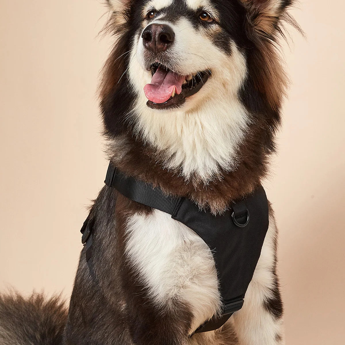 Dog Walker Harness Pet Walking Harness No Pull Comfortable and Breathable Oxford Dogs Collar Ring Easy Control Adjustable Vest