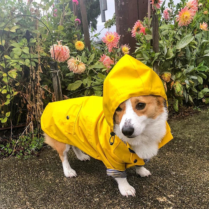 SUPREPET Pet Dog Clothes for Puppy Windproof Dog Jacket Rainproof Dog Raincoat Dog Sport Hoodies Jackets Popa Perro