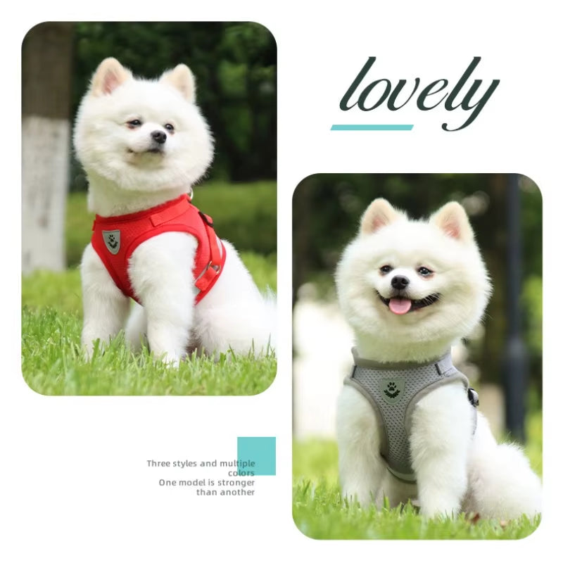Dog Harness Lead Leash Set Adjustable Reflective Escape Proof Pet Mesh Vest Harness Puppy Dog Collar Small Dog Cat Pet Supplies