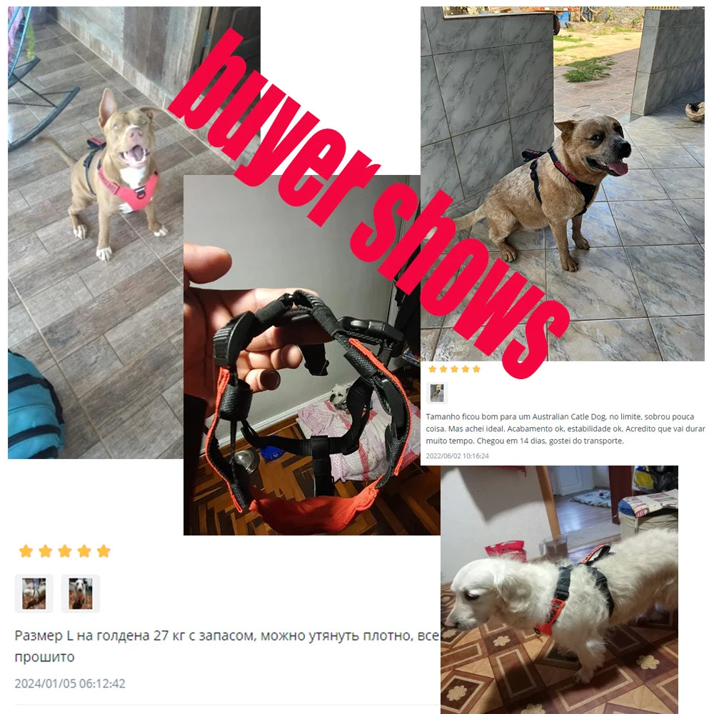 Dog Walker Harness Pet Walking Harness No Pull Comfortable and Breathable Oxford Dogs Collar Ring Easy Control Adjustable Vest