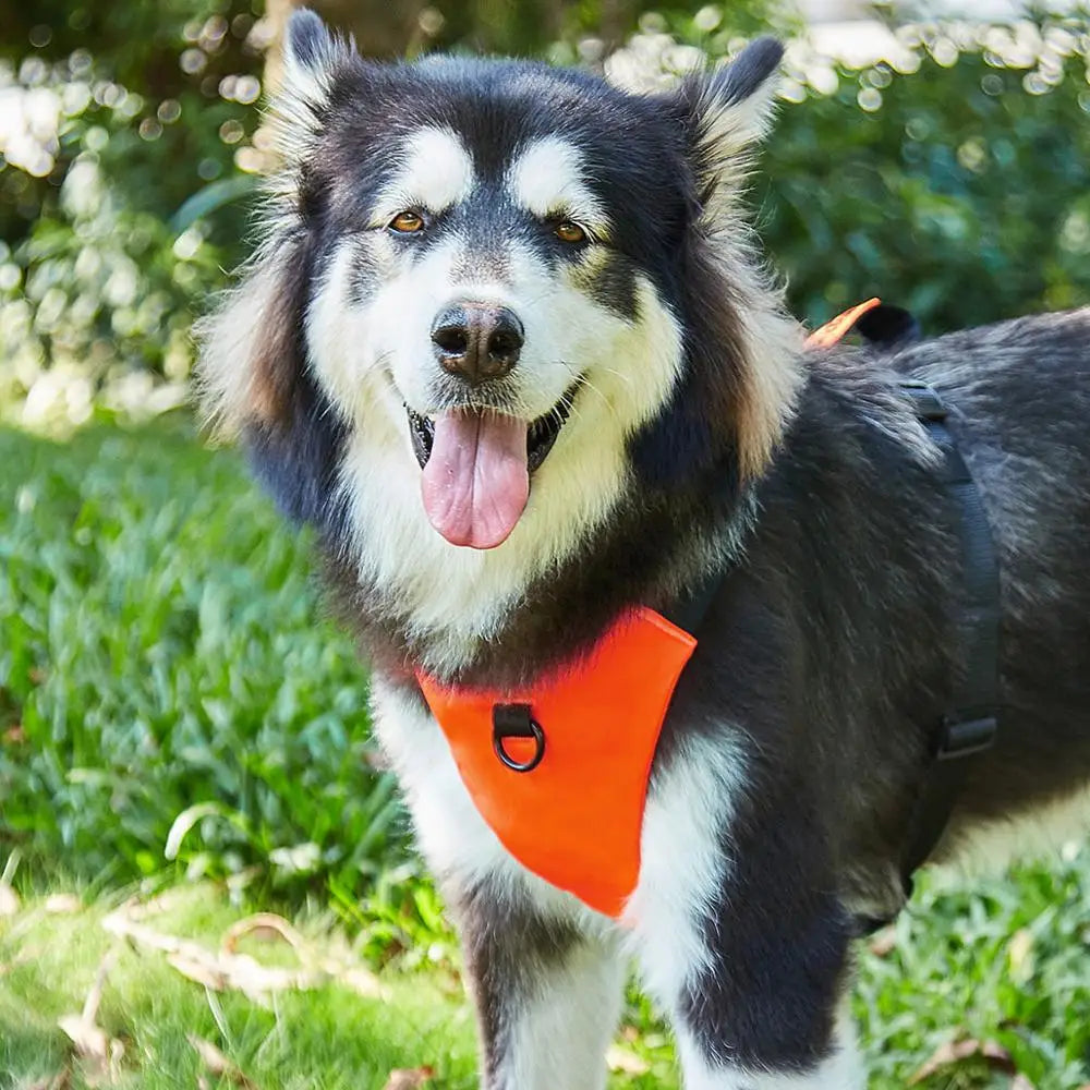 Dog Walker Harness Pet Walking Harness No Pull Comfortable and Breathable Oxford Dogs Collar Ring Easy Control Adjustable Vest
