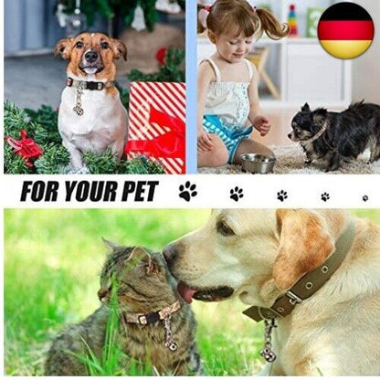 Weewooday 6 Stücke Haustier Glocken Für Halsbänder Laute Hundeglocken Sc