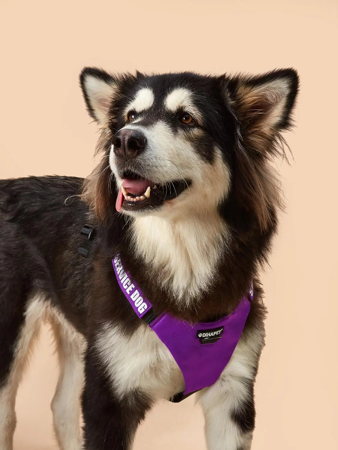 Dog Walker Harness Pet Walking Harness No Pull Comfortable and Breathable Oxford Dogs Collar Ring Easy Control Adjustable Vest
